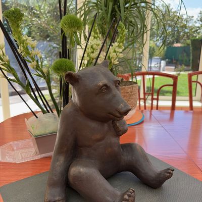 GROS OURS BRUN