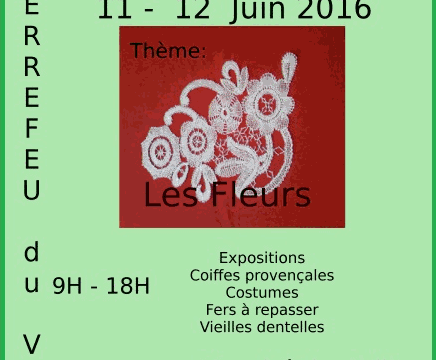 Rencontres de dentellières et "Art du fil" juin 2016