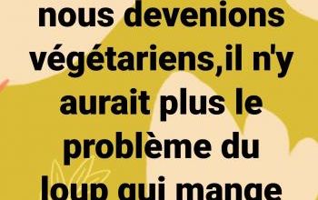 Il est vrai que si nous devenions végétariens...