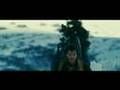 Into the wild