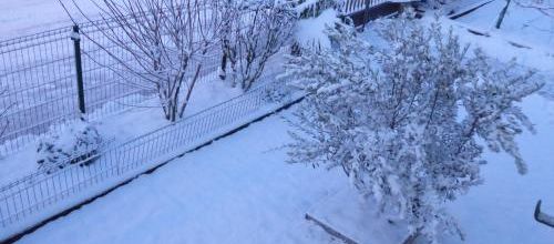  31 janvier 2019