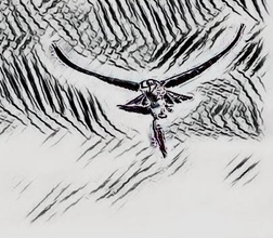 Le repas du rapace (A & A et cie 137)