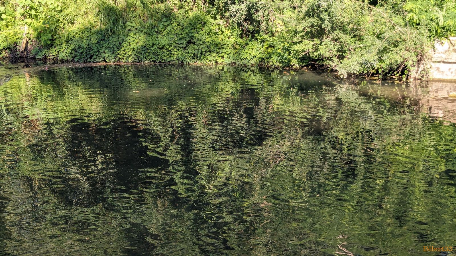 Goudargues et les reflets