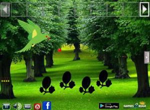 Parrot find the nest soluce