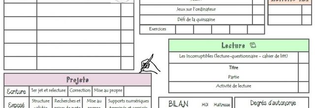 Plan de travail : PIDAPI et autres activités