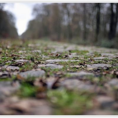 🚴 Découvrez la véloroute (V65) Paris-Roubaix .