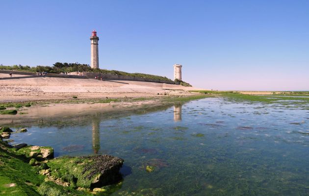 L'ile de Ré - 17
