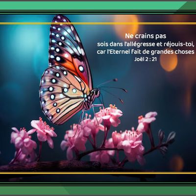 Ne crains pas - Joël 2 : 21