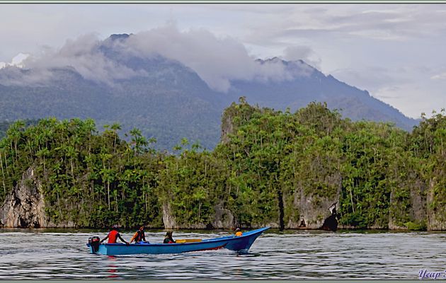 Le soleil est en train de se coucher et la lumière baisse très rapidement, mais les paysages n'en sont que plus beaux - Triton Bay - Papua Barat - Papouasie - Indonésie