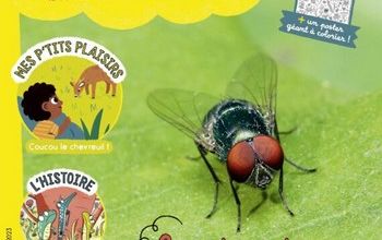 Petites lectures de vacances, les "Salamandre"...
