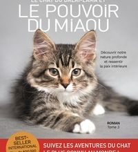 Télécharger le livre en ligne google Le chat du dalaï-lama Tome 3 PDB par David Michie 9791028512187 en francais