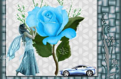 Ma rose bleue.