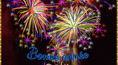 BONNE ANNEE 2014