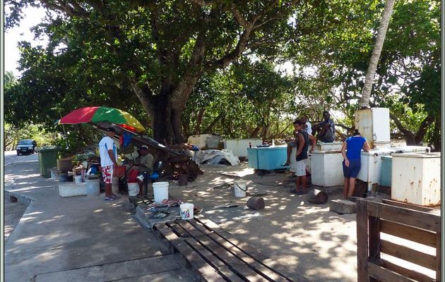 Le petit marché aux poissons de Anse Royale - Mahé - Seychelles