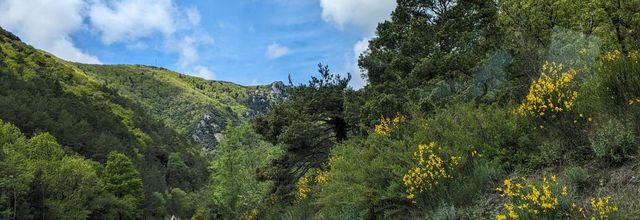 Site de la Pierre Lys