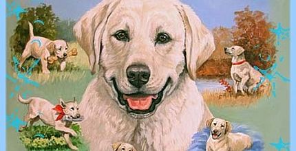 Eden, futur chien guide d'assistance