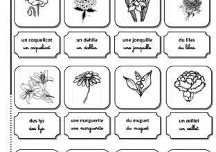 Lexique des fleurs