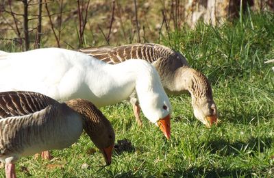 Mes "coups d'coeur" du week end ...