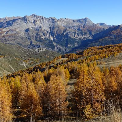 Dernier jour d'automne