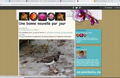 EB - Passage de mon blog Overblog en "mode sécurisé"...