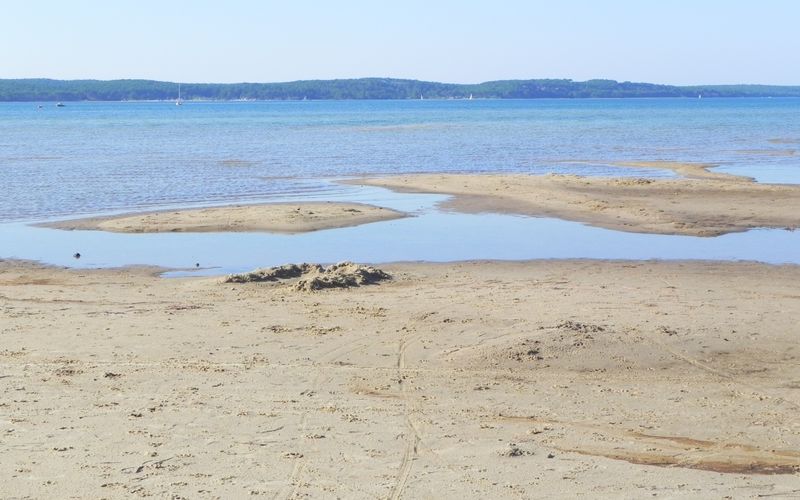 Ballade au lac de Biscarrosse  dept 40