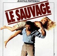 BOX OFFICE PARIS DU 26/11/1975 AU 2/12/1975