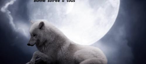 Bonne soirée