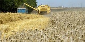 Ressemer sa propre récolte sera interdit ou taxé