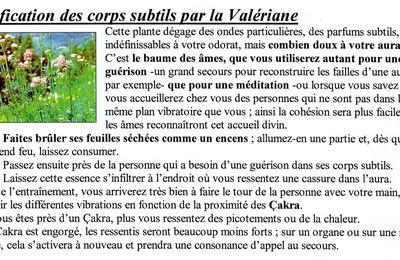 Travailler avec l'Aura