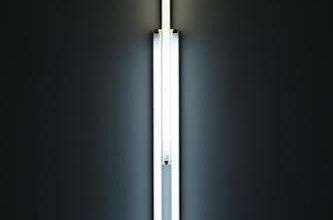 Dan Flavin / Josef Albers - Gering & López Gallery