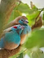 C'est beau l'amour !
