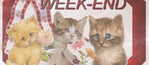 BON WEEK END