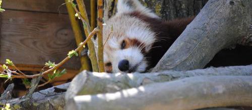 Bonne fin de soirée à tous