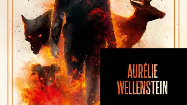 La fille du feu 
