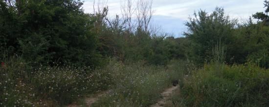 DES VILLAS AUX BUNKER, DES MALONS AU BETON TRES ARME