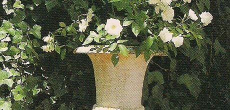 La pureté d'un vase...