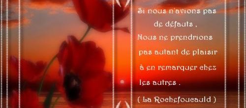  Pensée no 6