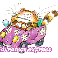 gif anime, blinkie, livraison express