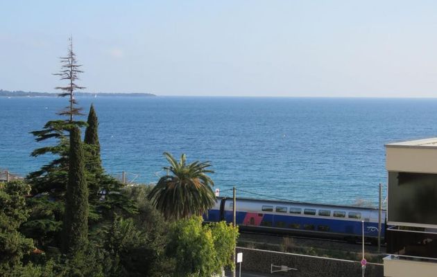 Cannes le soir (06) - 1