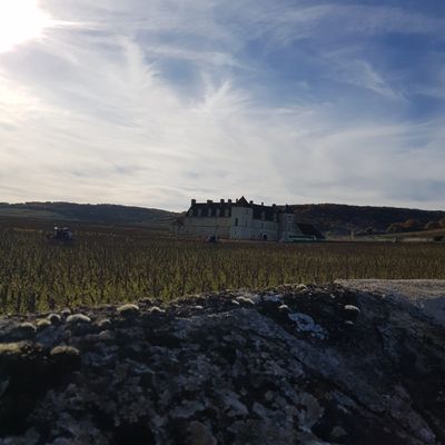 "De Côtes en Vignes" - Mercredi 05 novembre 2025