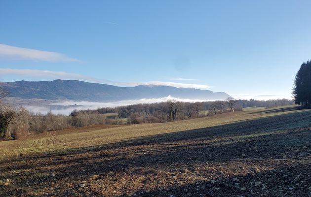 Les 15 et 16 janvier 2024 : Juste quelques photos.
