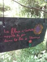 L'art est dans les bois