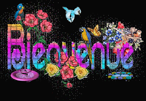 gifs bienvenue 