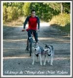 Avoir un chien serait bon pour la santé (13 mai 2013)