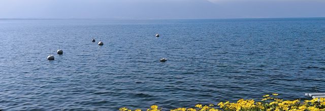 Compte rendu de la sortie au château de Chillon près de Montreux le 18 mars 2025