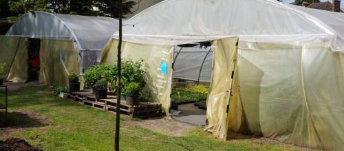 Fêtes des plantes à Dourdan