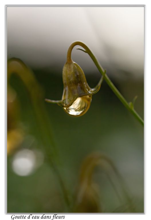 02 - Gouttes d'eau