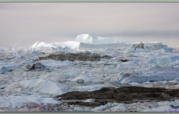 Les icebergs fantomatiques dans la brume de l'Isfjord (Icefjord) - Ilulissat - Baie de Disko - Groenland