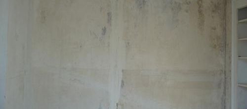 Papier peint chambre Iris