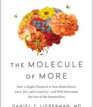 Download free epub textbooks The Molecule of More: How a Single Chemical in Your Brain Drives Love, Sex, and Creativity-and Will Determine the Fate of the Human Race